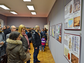 Kupinik-svedočanstvo srpske istorije