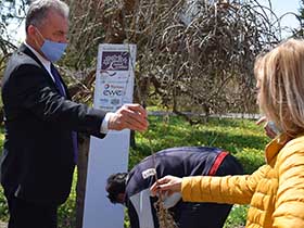 Посади свој хлад