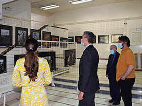 Срем – ожиљак и лек (Видео)