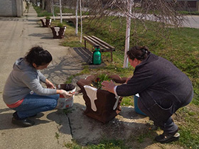 Mesna zajednica i meštani uređuju Ogar