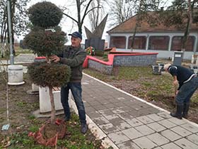 Ozelenjavanje doprinosi čistijem vazduhu u naselju