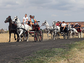 У Огару одржана прва меморијална фијакеријада