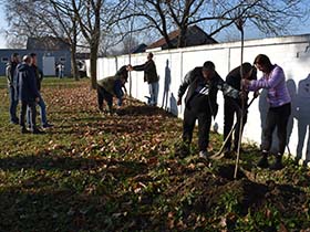 У три акције засађено 85 садница украсног дрвећа