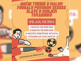 Ноћни турнир за сеоску славу у Доњем Товарнику