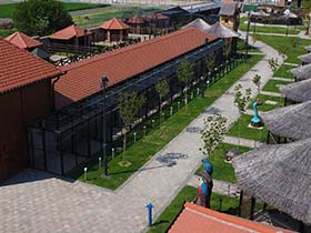 Besplatna poseta zoo-vrtu vikendima za građane pećinačke opštine
