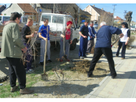 Ozelenjavanje Šimanovaca