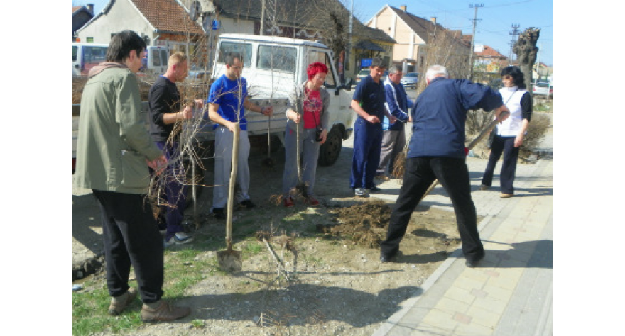 Ozelenjavanje Šimanovaca