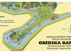 Regata Majke Angeline – 25 kilometara druženja i zabave