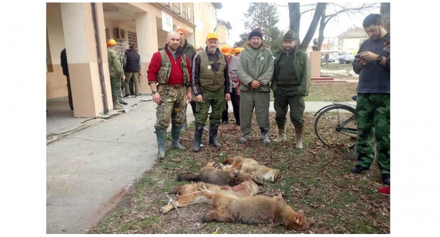 Одстрељено 4 предатора у Ашањи