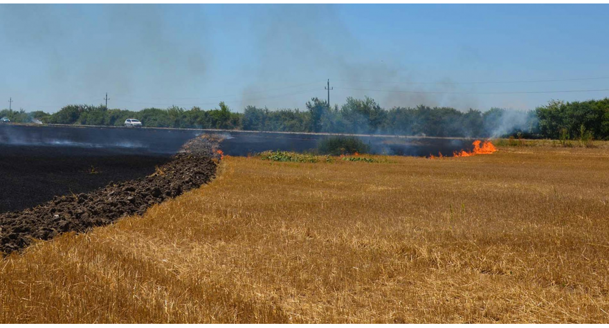 Забрањено спаљивање жетвених остатака