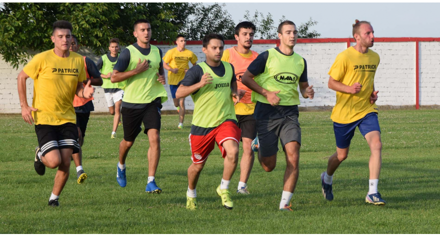 Приоритети у раду попиначког Напретка