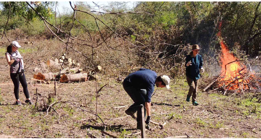 Волонтери из 10 земаља чисте Обедску бару