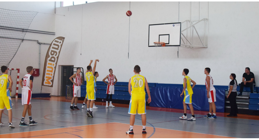 Празник кошарке у Доњем Товарнику
