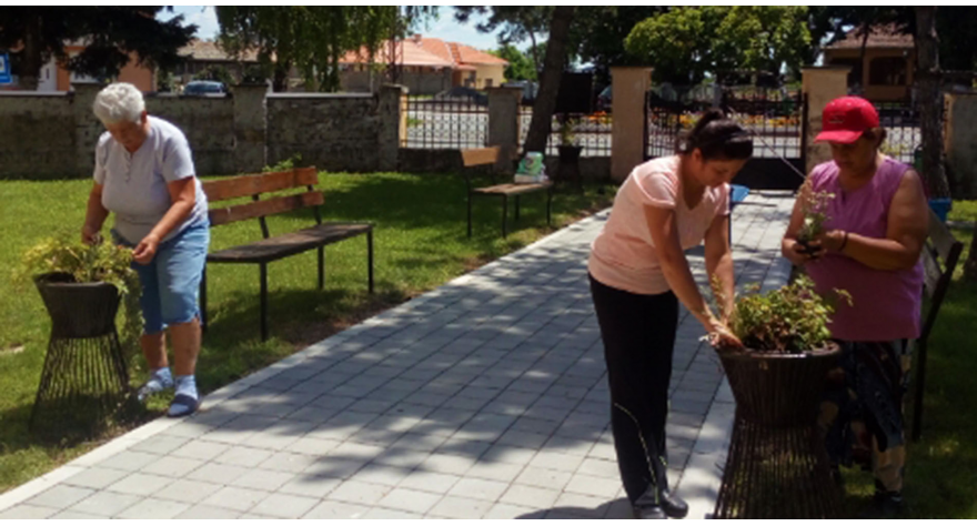 Цветно шаренило краси центар Огара