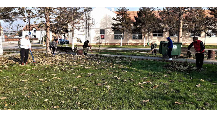 Мики у акцији са Товарничанима