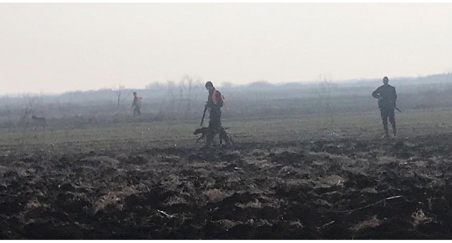 Сутра Хајка на шакала у Прхову