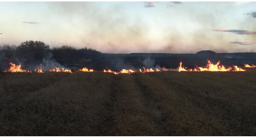 Обавештење о забрани спаљивања жетвених остатака