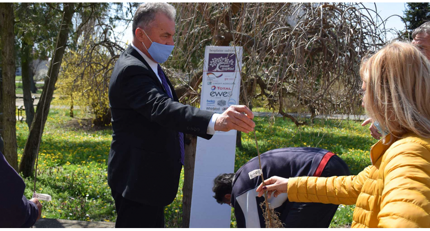 Посади свој хлад