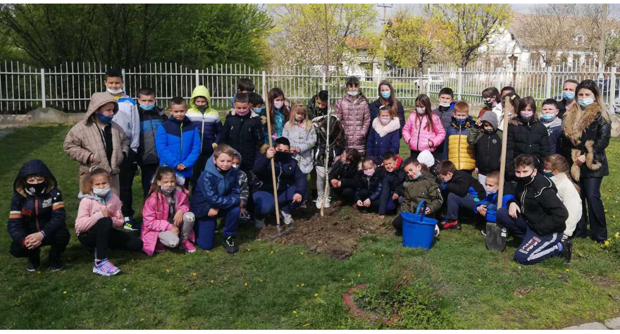 Za zelenije školsko dvorište