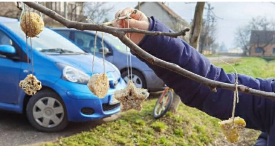 У сусрет пролећу и ластама