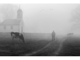 Повратак са молитве, Слободан Чавић, специјална награда ТО Пећинци