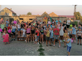 Сремски Михаљевци