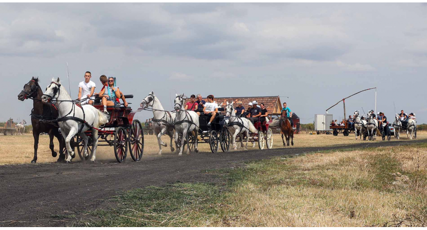 У Огару одржана прва меморијална фијакеријада