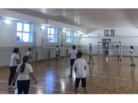 ОШ Душан Вукасовић Диоген, Купиново