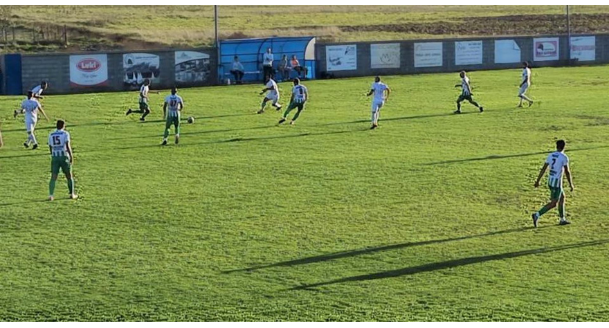 Слобода убедљива на домаћем терену