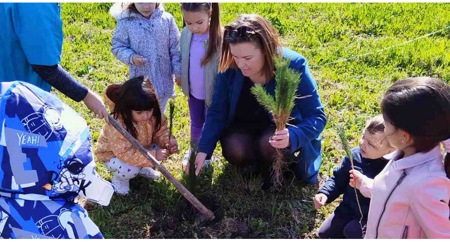 150 садница црног бора као залог за будућност